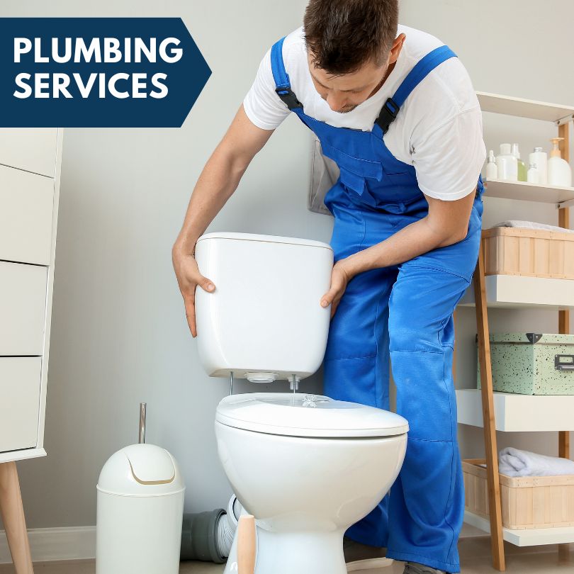 Plumbing Company in Dansville, MI